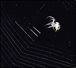 ��ô������ͨѺ����Ƶ��ϰ��ƽ����ⱱ�����׶����� �ƽ�����Эͬ��չ...